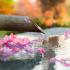 Fountain in Japanese Garden